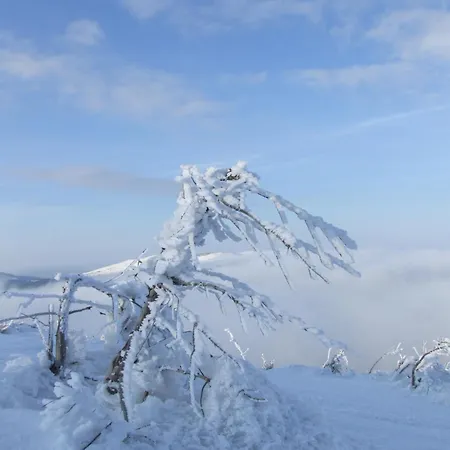 Deluxe Mountain View Vis In Hill * 카파오닉