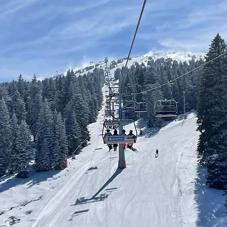 Deluxe Mountain View Vis In Hill * Κοπαόνικ