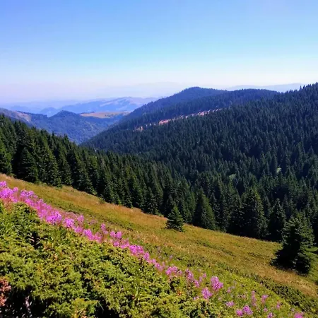 Deluxe Mountain View Vis In Hill Διαμέρισμα Κοπαόνικ