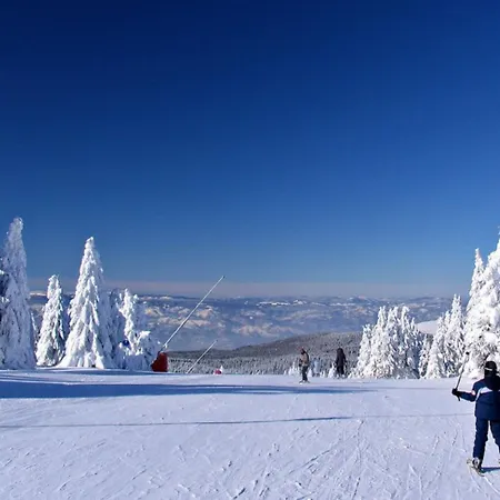 Deluxe Mountain View Vis In Hill Appartement *