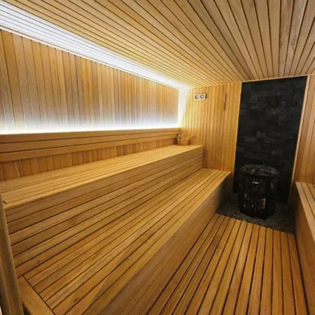 Appartement Deluxe Mountain View Vis In Hill Kopaonik