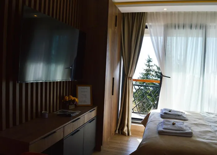 Deluxe Mountain View Vis In Hill *