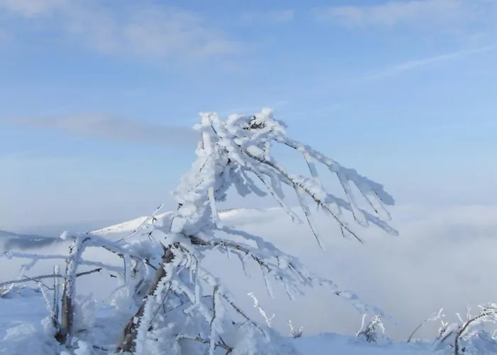 Deluxe Mountain View Vis In Hill * Kopaonik