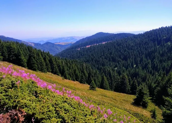 Deluxe Mountain View Vis In Hill Appartamento Kopaonik