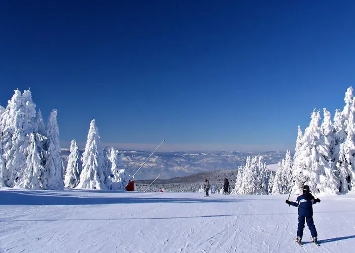 Deluxe Mountain View Vis In Hill Appartamento *