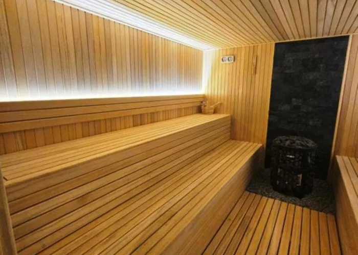 Appartamento Deluxe Mountain View Vis In Hill Kopaonik